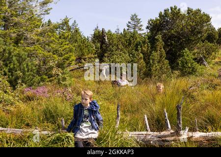 Baiersbronn, Deutschland. August 2021. Drei Junior-Ranger sitzen einzeln im Nationalpark Schwarzwald verteilt. Als Junior Ranger lernt man viel über Natur und Tiere. Und zum Beispiel, wie man sich mit einer Karte und einem Kompass orientiert. Quelle: Philipp von Ditfurth/dpa/Alamy Live News Stockfoto