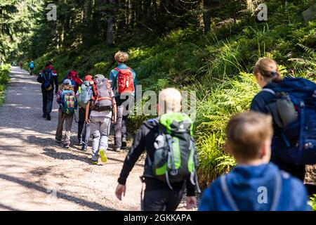 Baiersbronn, Deutschland. August 2021. Eine Gruppe von Junior Rangers geht mit ihren Supervisoren Nicolas Ebert (Locken, roter Rucksack) und Nina Rosenlicht (r) auf einem Waldweg. Kinder im Alter von fünf bis zwölf Jahren können Junior Rangers im Nationalpark sein. In kleinen Gruppen lernen sie die Grundlagen über Natur und Tiere. Später erfahren sie mehr über die Kologie, warum der Nationalpark existiert und wie sie sich mit einer Karte und einem Kompass zubewegen können. Quelle: Philipp von Ditfurth/dpa/Alamy Live News Stockfoto