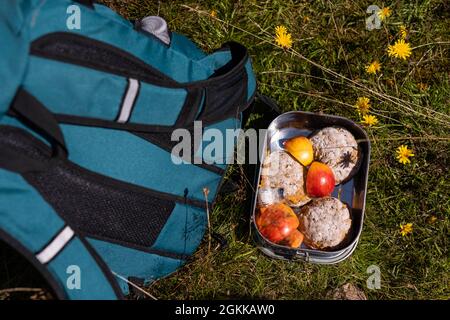 Baiersbronn, Deutschland. August 2021. Eine Lunchbox mit Brötchen und Apfelstücken steht neben einem Rucksack auf einer Wiese. Kinder im Alter von fünf bis zwölf Jahren können Junior Rangers im Nationalpark sein. In kleinen Gruppen lernen sie die Grundlagen über Natur und Tiere, später lernen sie über die Kologie, warum der Nationalpark existiert und wie man sich mit einer Karte und einem Kompass zuwege findet. Quelle: Philipp von Ditfurth/dpa/Alamy Live News Stockfoto
