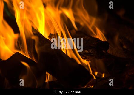 Brennendes Feuer mit Flammen und Holz Stockfoto