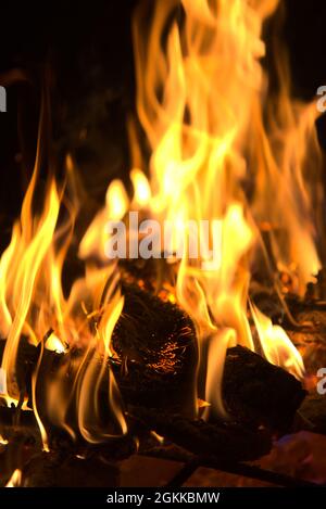 Brennendes Feuer mit Flammen und Holz Stockfoto