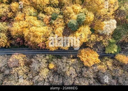 Radweg umgeben von gelben und grünen Bäumen. Stadtparklandschaft an sonnigen Tagen. Luftaufnahme von oben. Stockfoto