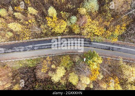 Kurvenreiche Fahrradstraße, umgeben von wunderschönen Herbstbäumen mit gelbem und orangefarbenem Laub. Luftaufnahme von oben Stockfoto