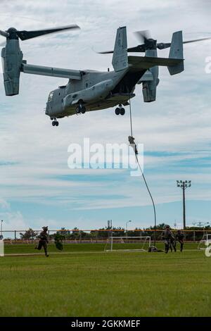 U.S. Marines mit 3. Bataillon, 5. Marines, 31. Marine Expeditionary Unit (MEU), schnelles Abseilen von MV-22B Ospreys mit Marine Medium Tiltrotor Squadron 265 (verstärkt), auf Camp Hansen, Okinawa, Japan, Mai 18, 2021. Die Marineinfanteristen trainieren zum Schnellseil, falls sie rechtzeitig vom Flugzeug abfliegen müssen oder in unebenem Gelände landen können. Die 31. MEU, die einzige kontinuierlich im Vorlauf eingesetzte MEU des Marine Corps, stellt eine flexible und tödliche Truppe bereit, die als führende Krisenreaktionstruppe in der Indo-Pazifik-Region eine breite Palette von Militäroperationen durchführen kann. Stockfoto