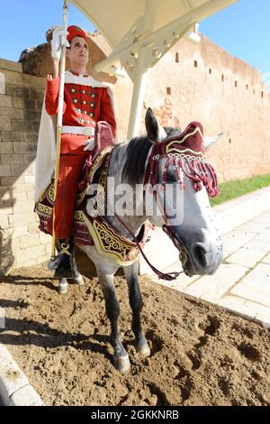 Ein marokkanischer Wachmann auf seinem Pferd am Eingang des Mausoleums von Mohammed V. in Rabat, Marokko. Stockfoto