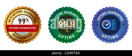 Uptime Garantie 99 Prozent Server Web Hosting Netzwerk Emblem Siegel Aufkleber Abzeichen in Gold blau und grün Stock Vektor