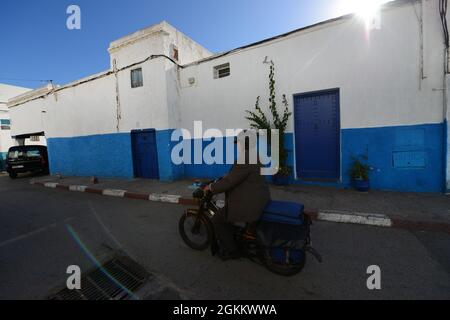 Spaziergang durch die engen Gassen zwischen den bunten blau-weißen Häusern an der Kasbah der Udayas in Rabat, Marokko. Stockfoto