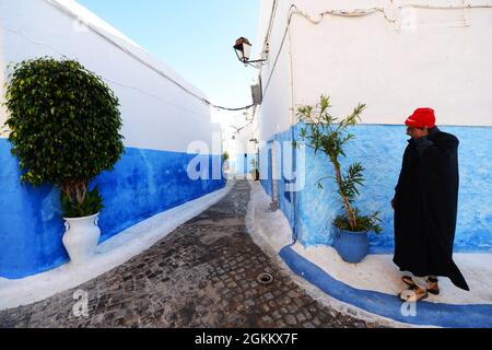 Spaziergang durch die engen Gassen zwischen den bunten blau-weißen Häusern an der Kasbah der Udayas in Rabat, Marokko. Stockfoto