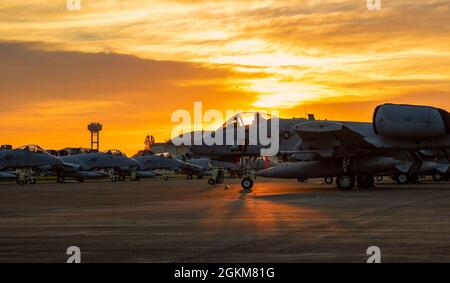 Vierzehn A-10 Thunderbolt II Flugzeuge, die dem 25. Jagdgeschwader, Osan Air Base, Republik Korea, zugewiesen wurden, parken an einer Rampe, 24. Mai 2021, auf dem Yokota Air Base, Japan. Dieses Team von A-10-Mitarbeitern kam in Yokota an, um sich auf die von der Roten Flagge unterstützte Übung Alaska 21-2, eine von der Pazifikluft gesponserte Übung, vorzubereiten, die ein realistisches Training in einer simulierten Kampfumgebung mit primären Flugoperationen über dem Joint Pacific Alaska Range Complex ermöglichen soll. Stockfoto