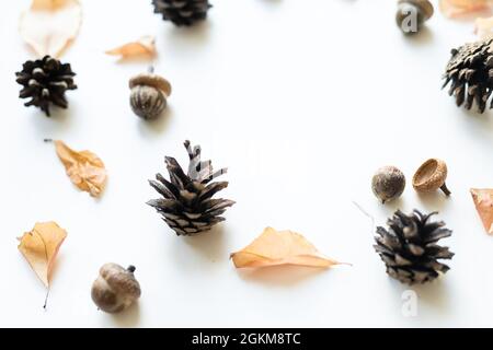 Blätter von Herbsteichen, Eicheln und Beeren von wilden Rosen auf weißem Hintergrund isoliert in unterschiedlicher Größe. Stockfoto