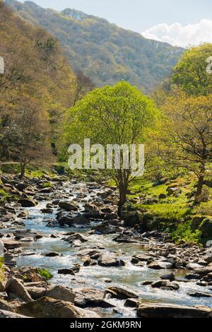 River Lyn fließt durch das östliche lyn-Tal in der Nähe von lynmouth im Norden des Flusses England Stockfoto