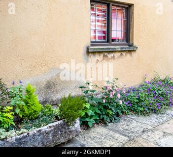 Blumen und Sträucher entlang der Vorderseite eines gelben Gebäudes Stockfoto