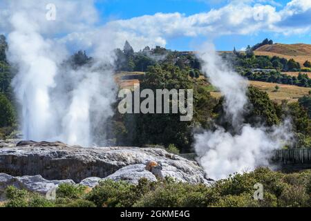 Dampfschießen vom Geysir Pohutu im Geothermiegebiet Whakarewarewa, Neuseeland Stockfoto