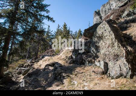 Am Grossen Osser Stockfoto