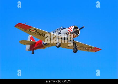 Ein North American Aviation T-6 Texan (aka Harvard), ein Trainingsflugzeug des 2. Weltkriegs, das auf einer Flugschau in Neuseeland fliegt Stockfoto