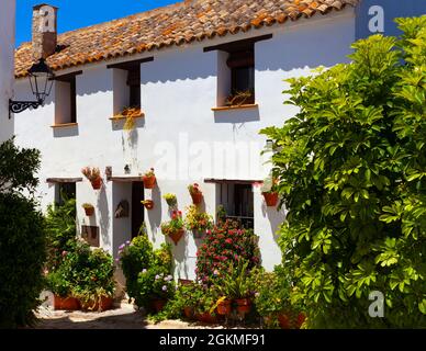 Ein blumenbedecktes Haus in Castellar de la Féterra in der Provinz Caáz, Andalusien, Spanien, in einer erhaltenen maurisch-christlichen Festung. Stockfoto