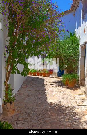 Ein blumenbedecktes Haus in Castellar de la Correa in der Provinz Caáz, Andalusien, Spanien, in einer maurisch-christlichen Festung gelegen. Stockfoto