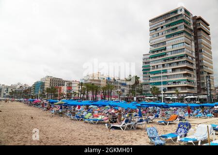 Benidorm, Spanien 18.08.2021 Liegestühle und Sonnenschirme am Benidorm-Strand am Mittelmeer von Spanien. Hochhaus vor dem klaren weißen Himmel im Hintergrund. Berühmter Touristenort. Stockfoto