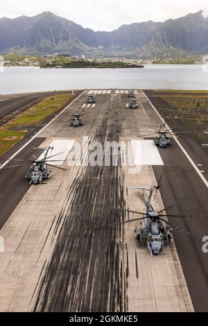 Mehrere CH-53E Superhengste, die an Marine Heavy Helicopter Squadron 463 befestigt sind, stehen auf der Startbahn für einen gemeinsamen Staffeltrainingsflug, Marine Corps Base Hawaii, 27. Mai 2021. Der Flug wurde von Marine Light Attack Helicopter Squadron 367 und HMH-463 mit der Absicht durchgeführt, die Bereitschaft zu erhöhen und die Interoperabilität zwischen den beiden Staffeln zu fördern. Stockfoto