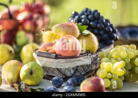 Reife Früchte auf dem Tisch im Garten. Frische Pfirsiche und Birnen in einem Korb, umgeben von einer Vielzahl von Gartenfrüchten. Stockfoto