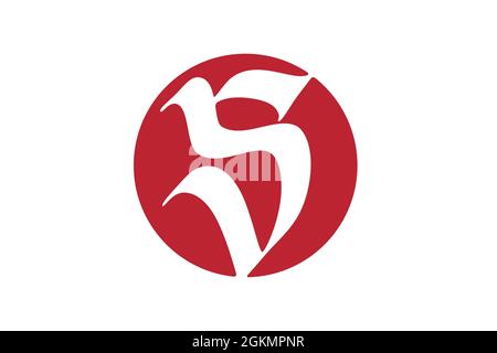 Buchstabe S Zeichen Vektor-Design Stock Vektor