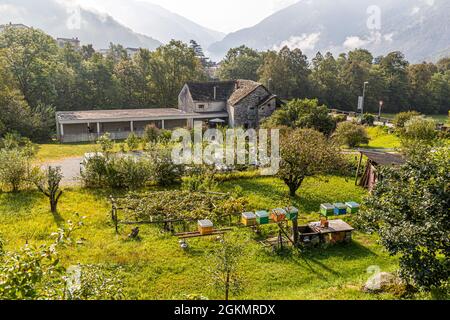 Hotel Casa Martinelli im Circolo della Maggia, Schweiz Stockfoto