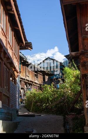 Vashisht Dorf im Kullu Tal, Himachal Pradesh, Indien Stockfoto