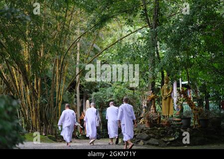 Buddhistische Schüler gehen durch den tropischen Garten Stockfoto