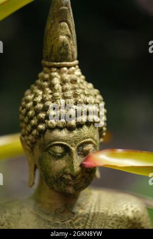 Der Kopf aus Lehm oder Bronze Buddha Statuette, mit Goldfarbe bedeckt und teilweise von einem tropischen Blatt beschattet Stockfoto