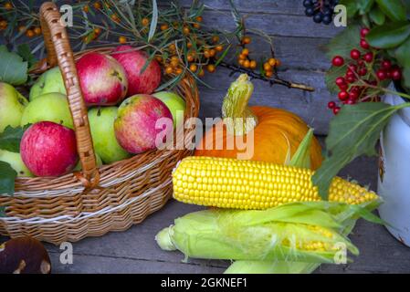 Auf der hölzernen Veranda gibt es helle Kürbisse, reife Äpfel im Korb, Maiskolben, Pilze und Zweige mit Herbstbeeren in einer alten emaillierten Dose. Stockfoto