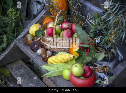 Auf der hölzernen Veranda gibt es helle Kürbisse, reife Äpfel im Korb, Maiskolben, Pilze und Zweige mit Herbstbeeren in einer alten emaillierten Dose. Stockfoto