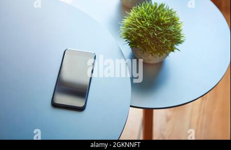 Hohe Winkelansicht der blauen runden Tische Paar mit unterschiedlicher Höhe. Grüne Pflanze und modernes Smartphone auf Couchtischen. Moderne Technik, Wireles Stockfoto