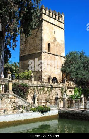 Wassergärten innerhalb der Palastfestung der christlichen Könige (Alcazar de los Reyes Cristianos) mit dem Burgturm auf der Rückseite, Cordoba, Cordoba Stockfoto