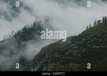 Nebel schwebt über Nadelbäumen und Klippen im Altai-Gebirge. Stockfoto