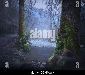 Unheimlich nebliger Wald und Fluss im Winter mit Nebel und Moos Stockfoto