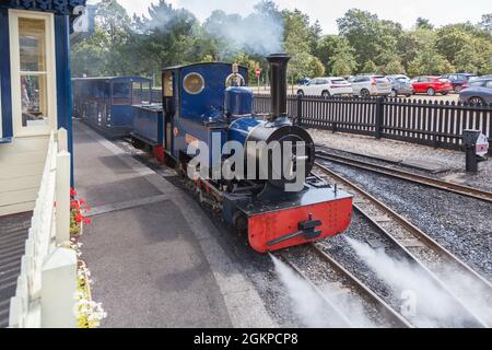 Dampfeisenbahn Stockfoto