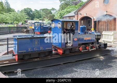 Dampfeisenbahn Stockfoto