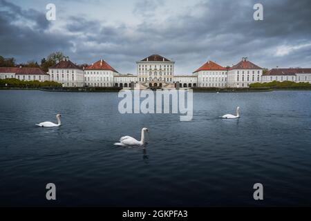 Schwäne schwimmen vor Schloss Nymphenburg - München, Bayern, Deutschland Stockfoto