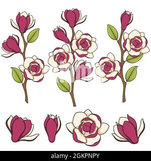Satz von farbigen Illustrationen von blühenden Magnolienzweigen. Isolierte Vektorobjekte auf weißem Hintergrund. Stock Vektor