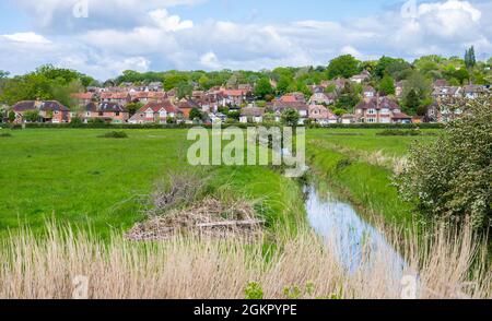 Wohnimmobilien über Felder aus dem Fluss in Arundel, West Sussex, England, Großbritannien. Stockfoto