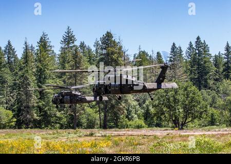 Ein Paar UH-60-Hubschrauber, die der Bravo 'Bigfoot' Company, 2-158 Assault Helicopter Bataillon, 16th Combat Aviation Brigade, zugewiesen wurden, führen am 17. Juni 2021 einen Einarbeitungsflug auf der Joint Base Lewis-McChord, Washington, durch. Soldaten der 17. Field Artillery Brigade waren an Bord und konnten erleben, wie es ist, mit einem Armeehubschrauber über dem Schlachtfeld zu fahren. Stockfoto