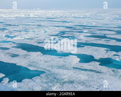 Schnelles Eis mit offenen Ableitungen vor der Ostküste Grönlands, Polarregionen Stockfoto