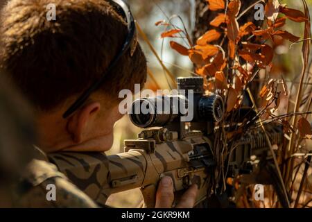 U.S. Marine Corps Lance CPL. Andrew Enochs, ein professionell unterwiesene Schütze mit 1. Bataillon, 7. Marine-Regiment (verstärkt), Marine Rotational Force – Darwin, visiert während der Übung Southern Jackaroo im Mount Bundey Training Area, NT, Australien, 17. Juni 2021 auf ein Ziel mit einem halbautomatischen Sniper-System M110. US-Marineinfanteristen, Soldaten der Australischen Armee und Soldaten der japanischen Selbstverteidigungskräfte führten einen Live-Feuerbereich durch und übten ihre kombinierten Präzisionsabwehrfähigkeiten auf mehreren Waffensystemen aus. Verteidigungsbeziehungen zwischen den Vereinigten Staaten, Verbündeten und Partnern Stockfoto