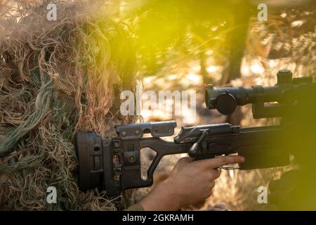 Ein Soldat der australischen Armee nimmt während der Übung Southern Jackaroo am Mount Bundey Training Area, 18. Juni 2021, ein Ziel mit einem Blaser Tactical 2 Sniper Rifle in den Blick. US-Marineinfanteristen, Seemänner der US-Marine, Soldaten der australischen Armee und Soldaten der japanischen Selbstverteidigungskräfte führten einen Live-Feuerbereich durch und übten ihre kombinierten Präzisionssemannschaften auf mehreren Waffensystemen aus. Verteidigungsbeziehungen zwischen den Vereinigten Staaten, Verbündeten und Partnerländern sind für die regionale Sicherheit, die Zusammenarbeit und die Integration unserer gemeinsamen Fähigkeiten von entscheidender Bedeutung. Stockfoto