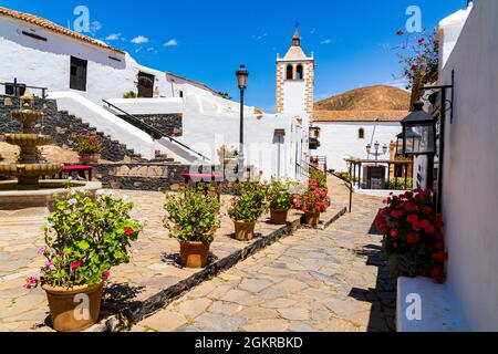 Farbenfrohe Blumen umrahmt die Santa Maria Kathedrale in der Altstadt von Betancuria, Fuerteventura, Kanarische Inseln, Spanien, Atlantik, Europa Stockfoto