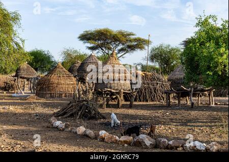 Traditionelle Dorfhütten des Stammes Toposa, Eastern Equatoria, Südsudan, Afrika Stockfoto