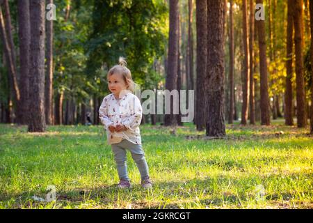 Ein niedliches, entzückendes kaukasisches Mädchen spaziert an einem sonnigen Tag bei Sonnenuntergang in einem Pinienwald zwischen den Bäumen. Stockfoto