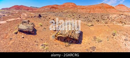 Hügel aus blutrotem Bentonitton unterhalb von Kachina Point im Petrified Forest National Park, Arizona, Vereinigte Staaten von Amerika, Nordamerika Stockfoto