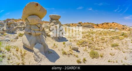 Feld der Hoodoos in Goblin Garden in den Flat Tops of Petrified Forest National Park, Arizona, Vereinigte Staaten von Amerika, Nordamerika Stockfoto