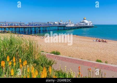 Blick auf Blumen, Pier und Strand im Sommer, Eastbourne, East Sussex, England, Vereinigtes Königreich, Europa Stockfoto